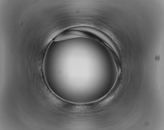 X0000090860985200707271225