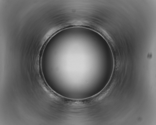 X0000090860986200707271225