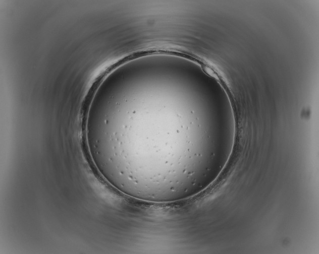 X0000090860987200707271225