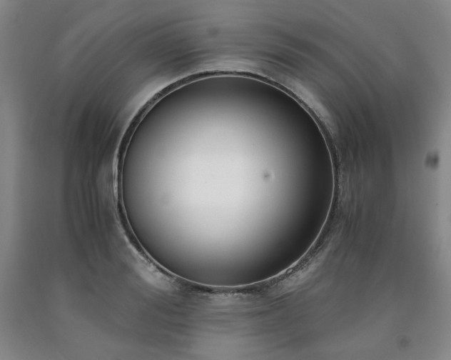 X0000090860988200707271225
