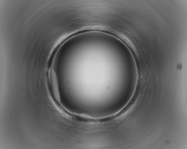 X0000090860989200707271225