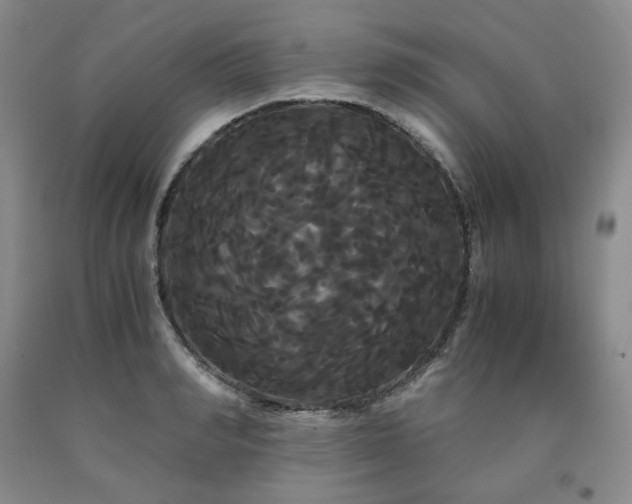 X0000090860990200707271225