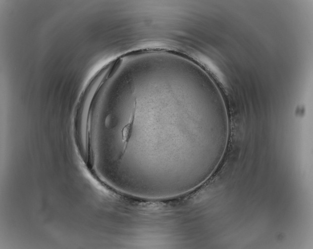 X0000090860991200707271225