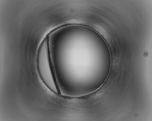 X0000090860992200707271225