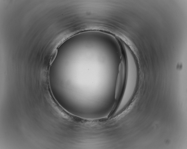 X0000090860993200707271225