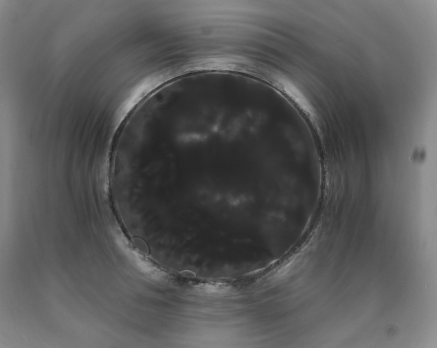X0000090860994200707271225