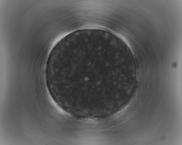 X0000090860995200707271225