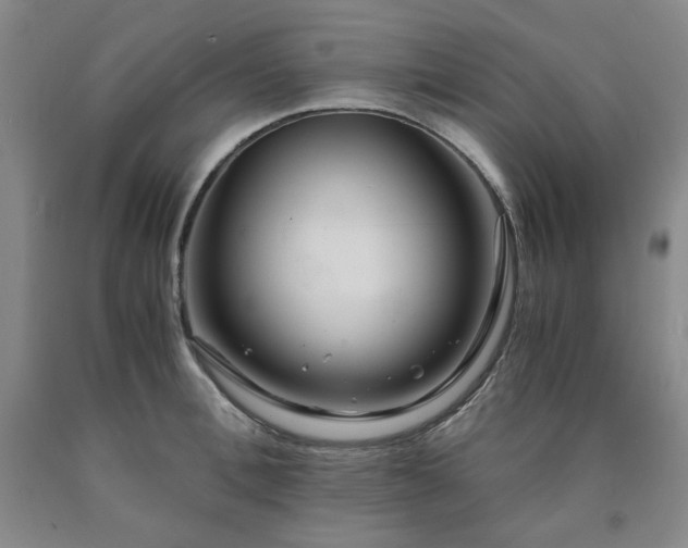 X0000090860996200707271225