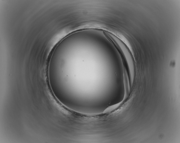 X0000090860997200707271224