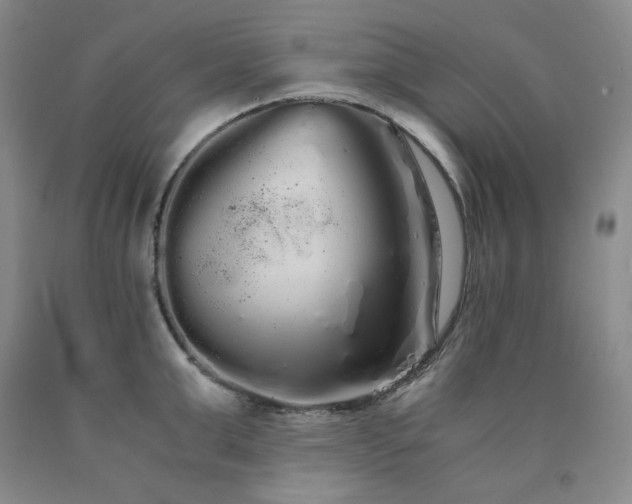 X0000090860999200707271224