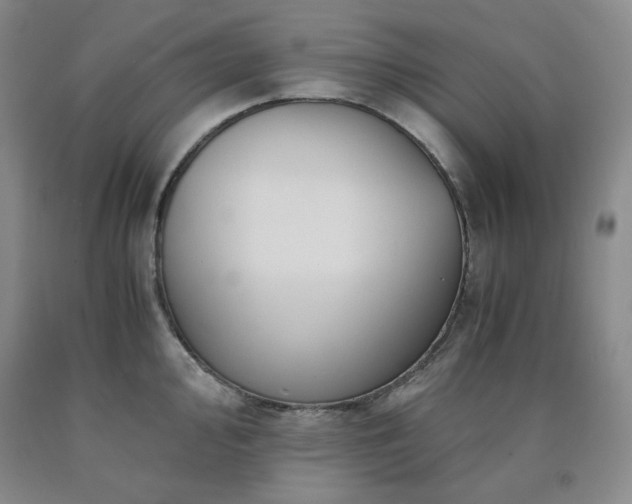 X0000090861000200707271224