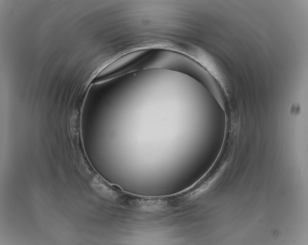 X0000090861001200707271224
