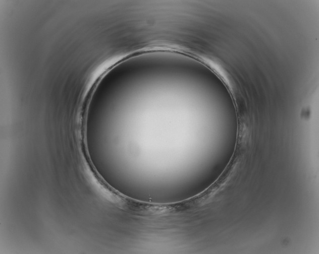 X0000090861003200707271224