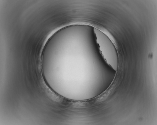 X0000090861004200707271224