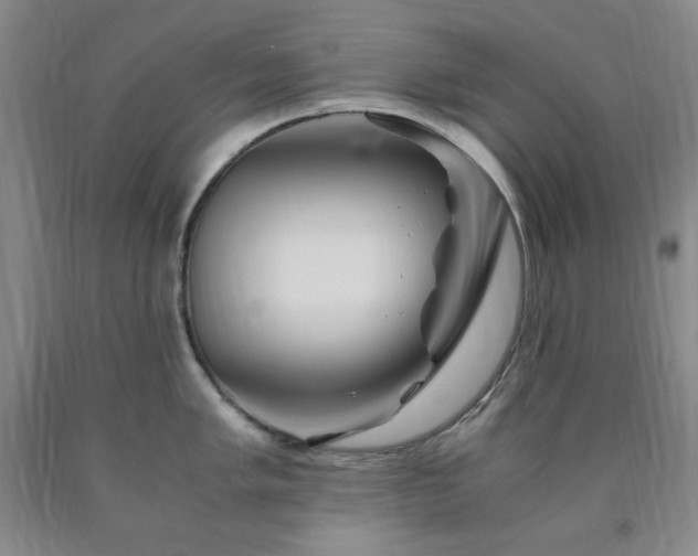 X0000090861005200707271224