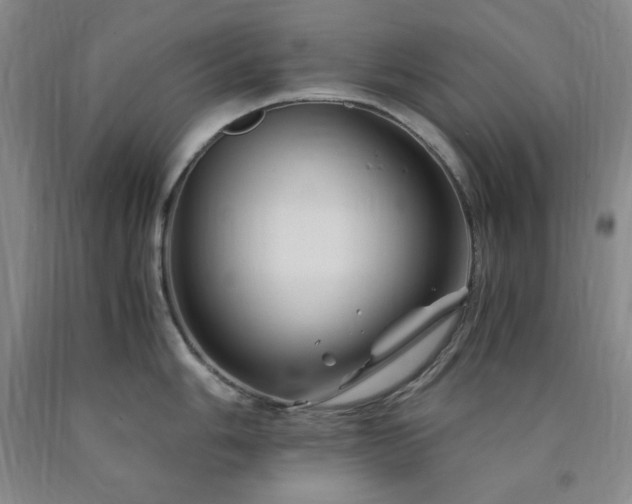X0000090861006200707271224