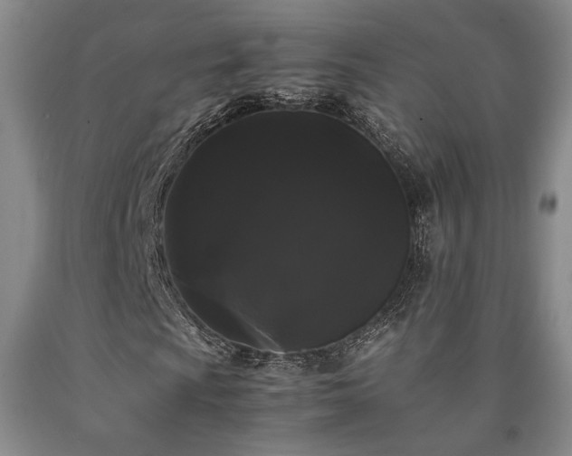 X0000090861009200707271224