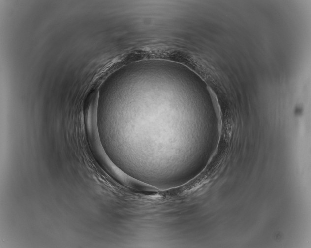 X0000090861010200707271224