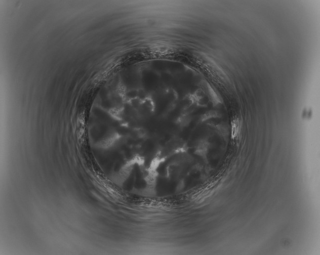 X0000090861011200707271224