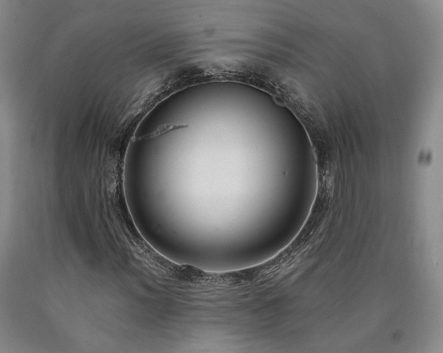 X0000090861012200707271224