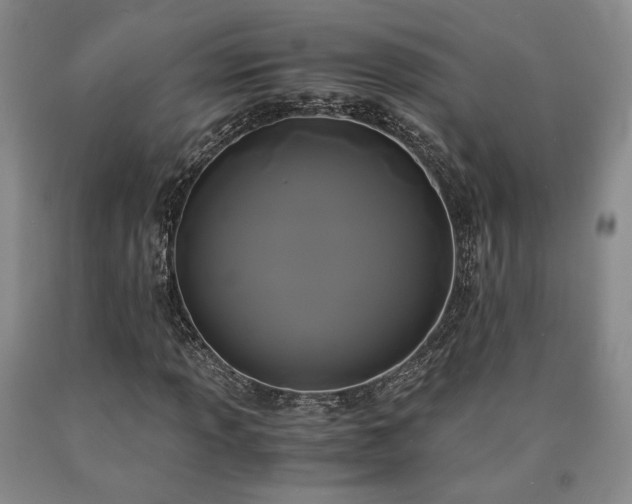 X0000090861013200707271224