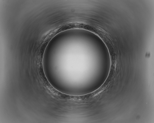 X0000090861014200707271224