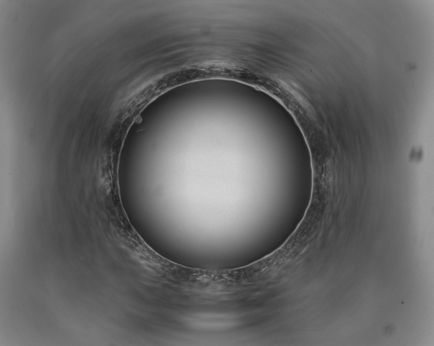 X0000090861015200707271224