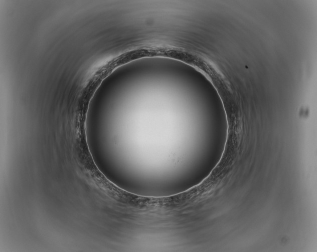 X0000090861016200707271224