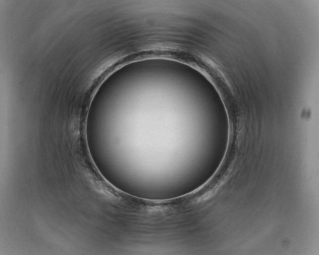 X0000090861017200707271224