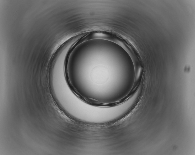 X0000090861018200707271224