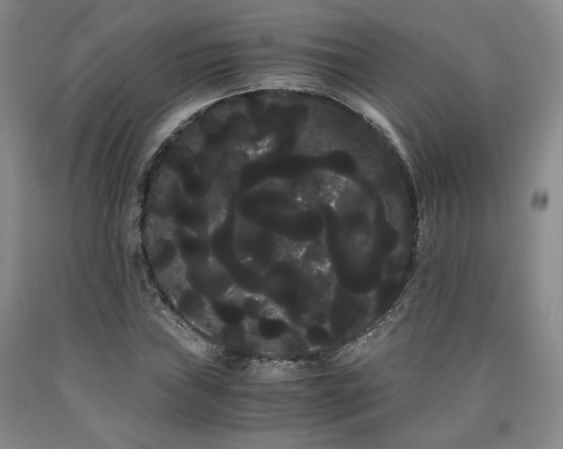 X0000090861019200707271224