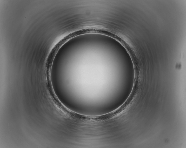 X0000090861022200707271224