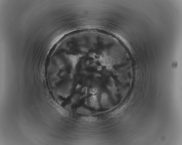 X0000090861023200707271224