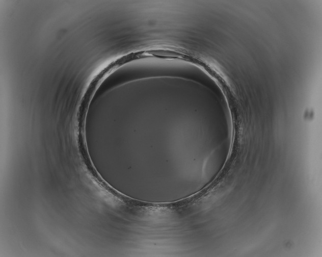 X0000090861024200707271224