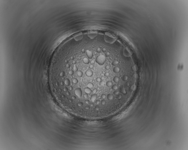 X0000090861025200707271224