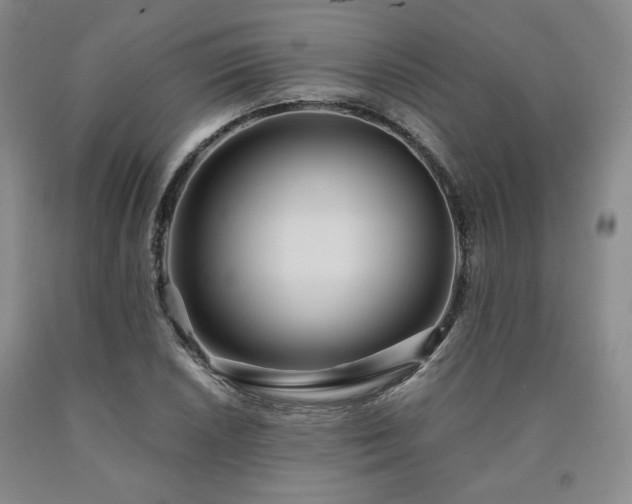 X0000090861026200707271224
