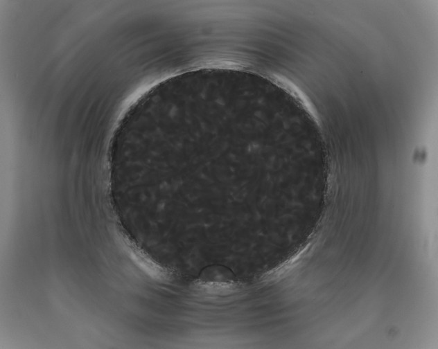 X0000090861027200707271224