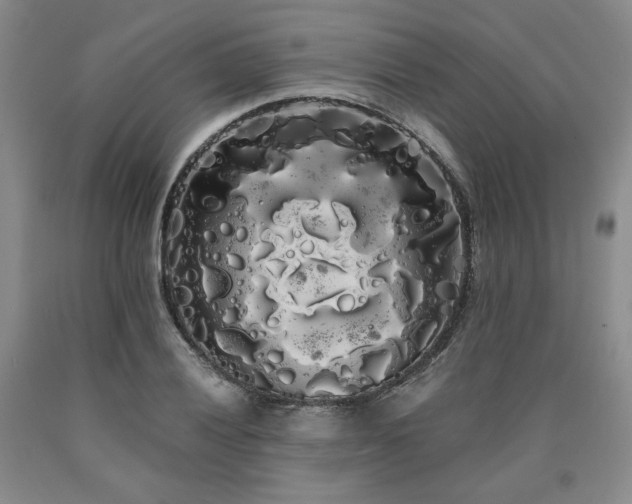 X0000090861028200707271224