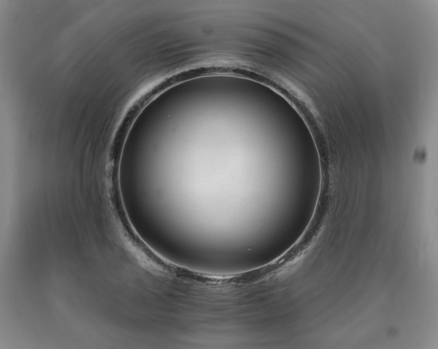 X0000090861029200707271224