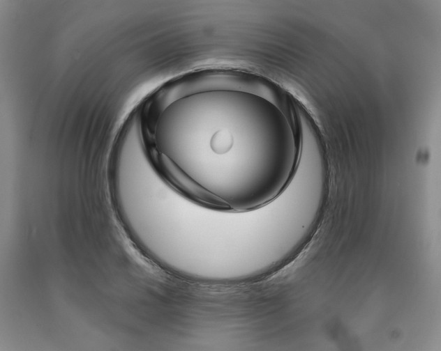 X0000090861030200707271224