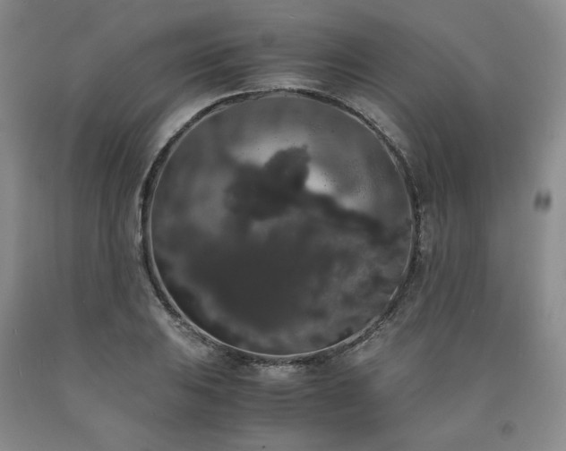 X0000090861031200707271224