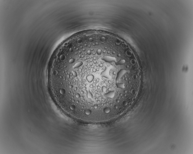 X0000090861032200707271224