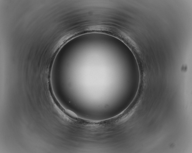 X0000090861033200707271224