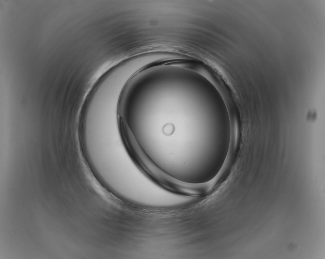 X0000090861034200707271224