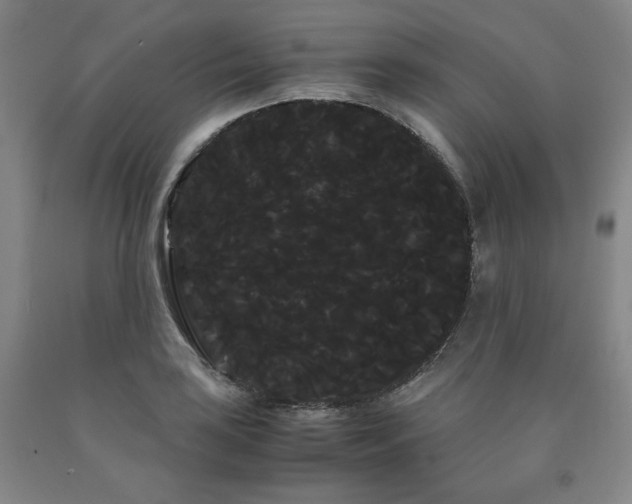 X0000090861035200707271224
