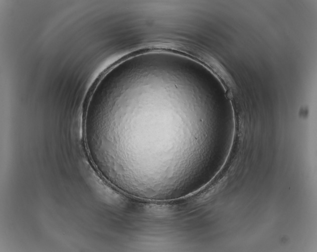 X0000090861036200707271224