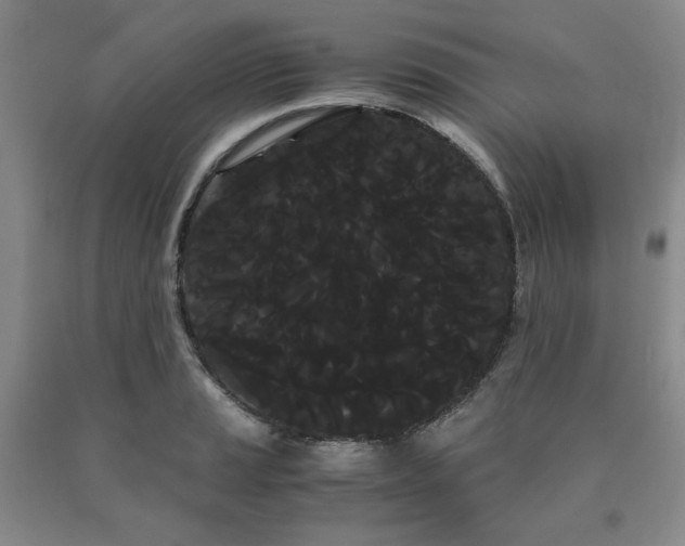 X0000090861037200707271224