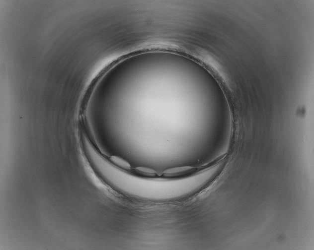 X0000090861038200707271224