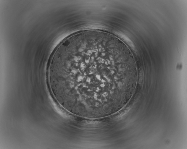 X0000090861039200707271224