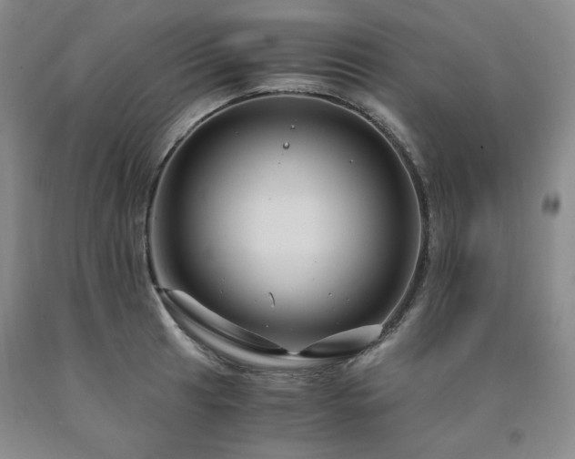 X0000090861041200707271224